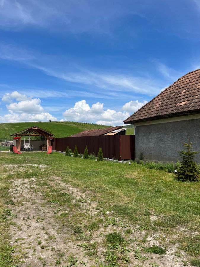 Вилла Casa Cheilor Petrestii de Jos Экстерьер фото